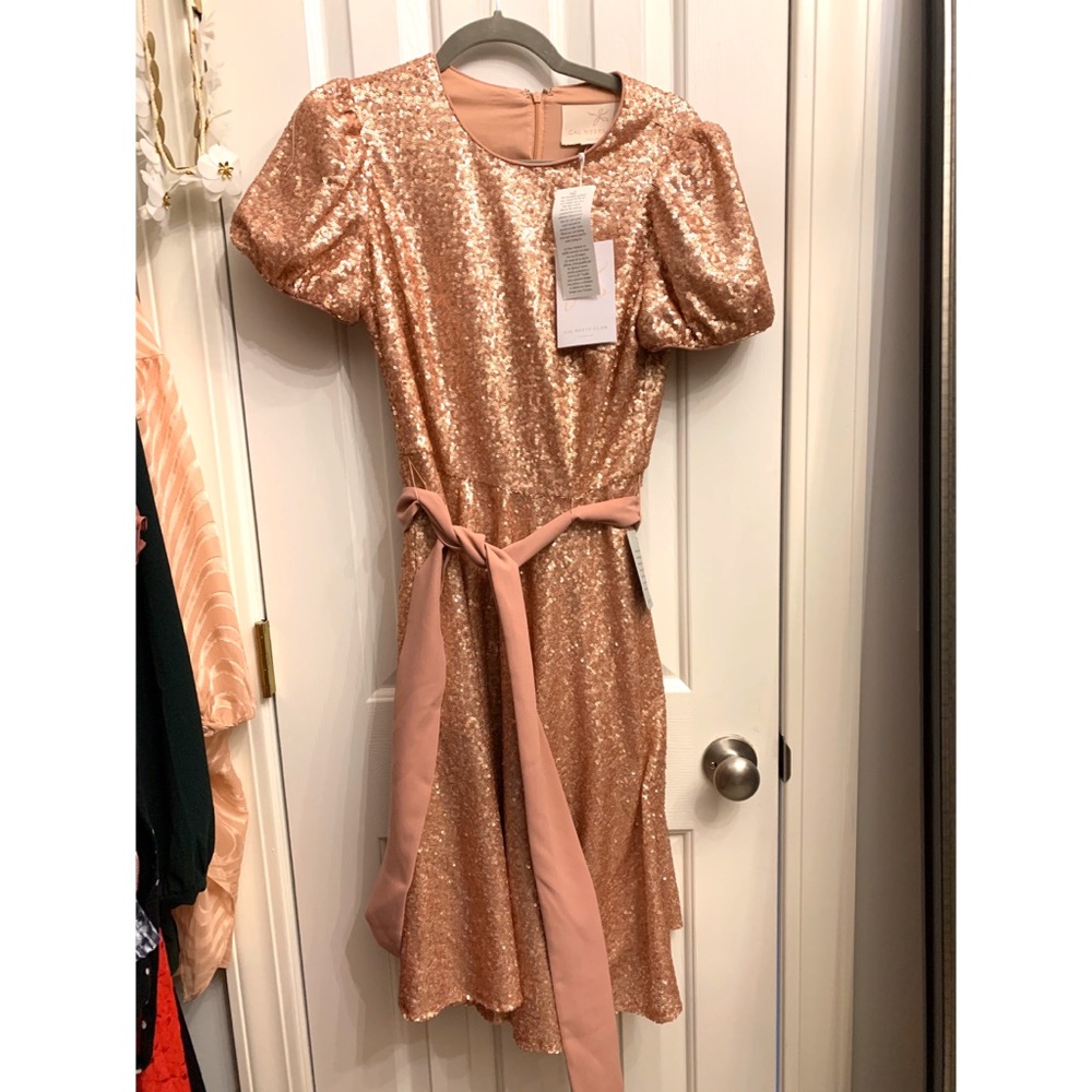 Gal Meets Glam Beatrix Sequin Dress NWT - Picture 3 of 3